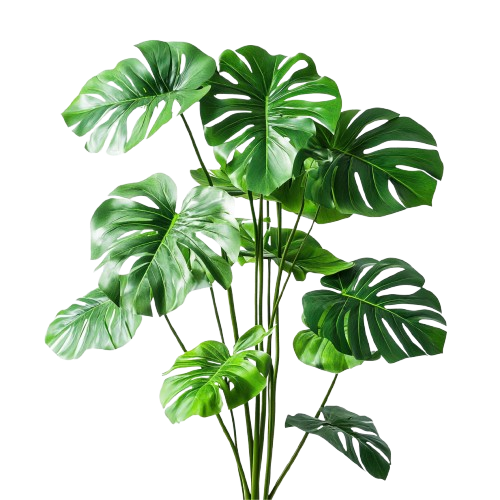 A decorative plant leaf