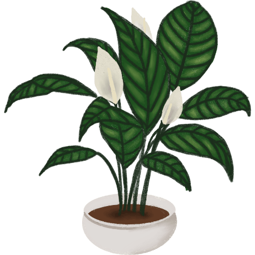 Decorative Potted Plant